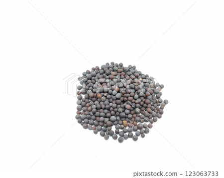 black computer mouse isolated on the white background black computer mouse isolated on the white background 123063733