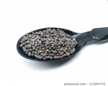 black computer mouse isolated on the white background black computer mouse isolated on the white background 123063735