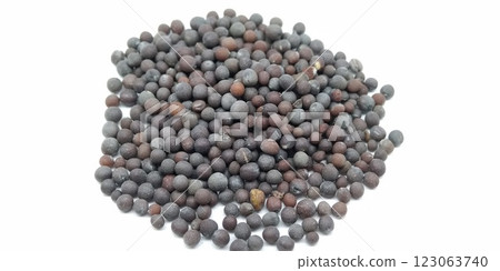 black computer mouse isolated on the white background black computer mouse isolated on the white background 123063740