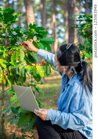 Harvest coffee bean ripe Red berries typing laptop computer check quality control plant coffee tree. Smart farmer using laptop in green coffee farm sustainable quality control agriculture technology Harvest coffee bean ripe Red berries typing laptop computer check quality control plant coffee tree. Smart farmer using laptop in green coffee farm sustainable quality control agriculture technology 123063949