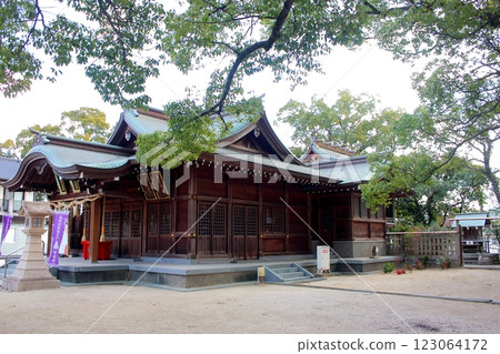 Kasuga Shrine (Kuroda Shrine) in Kurosaki, Kitakyushu City [Main Hall] 123064172