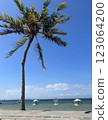 Tropical beach with palm trees and blue sky 123064200