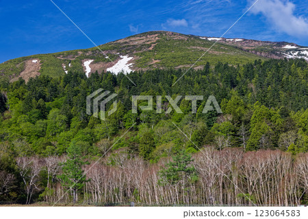 Snow-covered Mt. Shibutsu seen from Ozegahara Mountain Nose 123064583