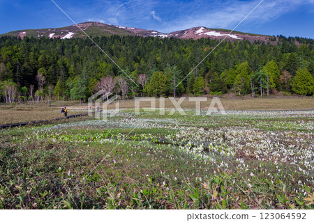 從山花台望去，尾瀨之原的臭菘盛開，止佛山的殘雪未盡 123064592