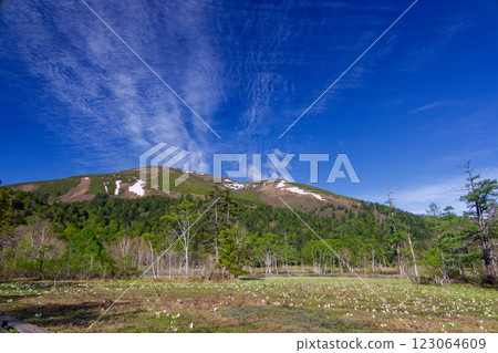 Ozegahara with its blooming skunk cabbage and Mt. Shibutsu with remaining snow seen from Yamanohana Ozegahara with its blooming skunk cabbage and Mt. Shibutsu with remaining snow seen from Yamanohana 123064609
