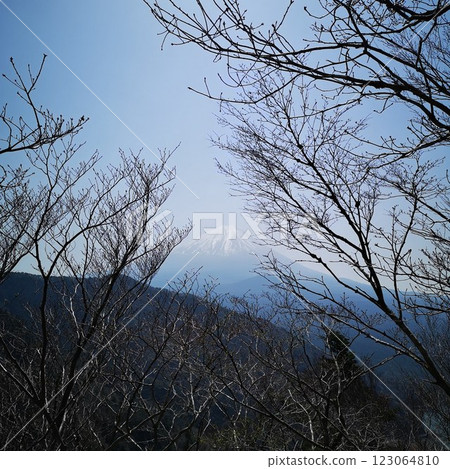 三法文山健行 欣賞富士山美景 123064810