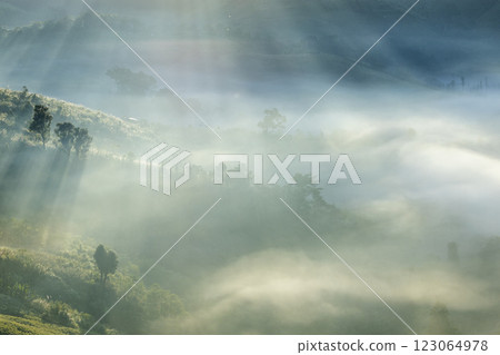 Morning Mist and Viewpoint with Layers of Mountains 123064978