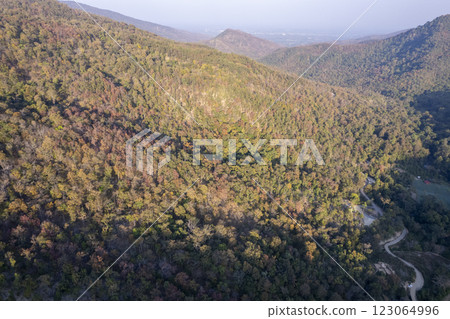 Scenic topdown shot of a deciduous forest changing leaves at the height of autumn. Picturesque flying view of the vibrant 123064996