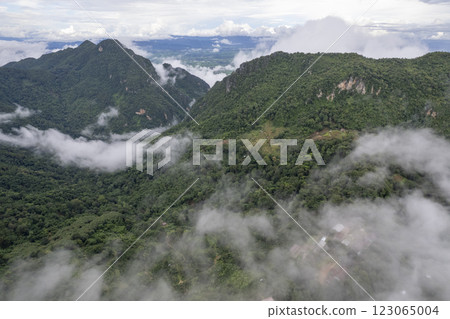 Landscape of Morning Mist with Mountain Layer at north of Thailand. mountain ridge and clouds in rural jungle bush forest 123065004
