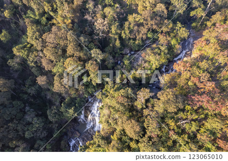 Scenic topdown shot of a deciduous forest changing leaves at the height of autumn. Picturesque flying view of the vibrant Scenic topdown shot of a deciduous forest changing leaves at the height of autumn. Picturesque flying view of the vibrant 123065010