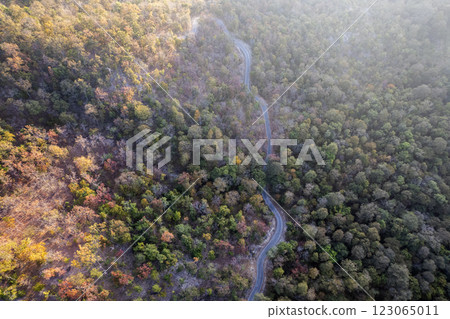 Scenic topdown shot of a deciduous forest changing leaves at the height of autumn. Picturesque flying view of the vibrant Scenic topdown shot of a deciduous forest changing leaves at the height of autumn. Picturesque flying view of the vibrant 123065011