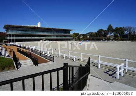The main arena of Bajikoen shines against the blue sky. November, Setagaya 1246 Main Arena, Bajikoen The main arena of Bajikoen shines against the blue sky. November, Setagaya 1246 Main Arena, Bajikoen 123065097