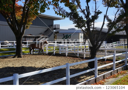 Autumn leaves seen from the stables, November, Setagaya 1253 Pasture and Equestrian Park Autumn leaves seen from the stables, November, Setagaya 1253 Pasture and Equestrian Park 123065104