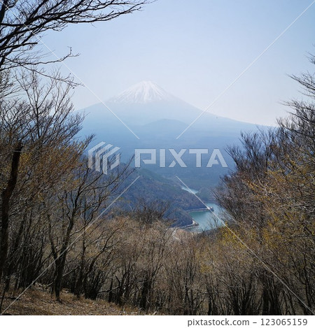 View of Mt. Fuji from the summit of Sanpobunzan 123065159