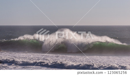 The Pacific Coast The Pacific Coast 123065256