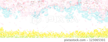 Cherry blossoms and spring sky, rapeseed field 123065301