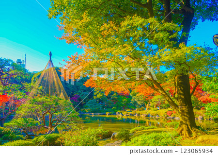 Autumn garden landscape Autumn garden landscape 123065934