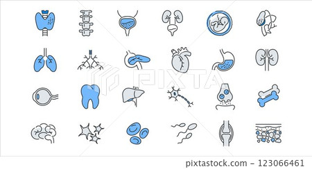 Human anatomy line icons set. Stomach, spine, joint, heart, embryo, bile, lung, dermis, heart, bone, vessels liver brain eye ear thyroid gland kidneys vector illustration 123066461