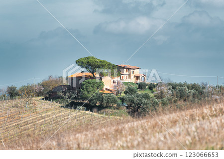 Typical Tuscan farmhouse 123066653