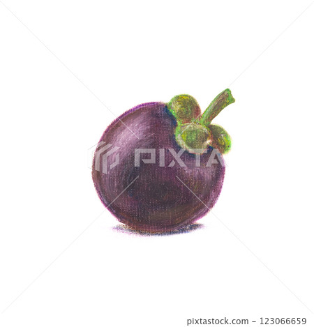 A mangosteen. The oil pastel painting of Thai exotic mangosteen fruit hand drawn illustration isolated on white background. A mangosteen. The oil pastel painting of Thai exotic mangosteen fruit hand drawn illustration isolated on white background. 123066659