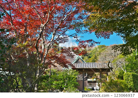 鎌倉之秋:開藏寺的紅葉美景 鎌倉之秋:開藏寺的紅葉美景 123066937