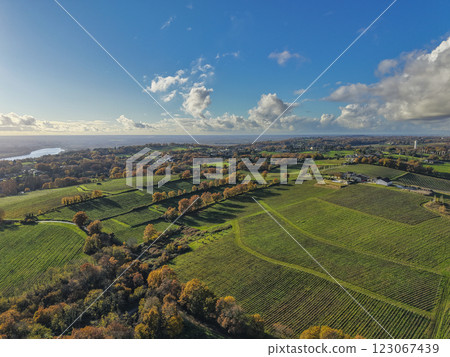 France, Gironde, Tabanac, Aerial view of the vineyard and wooded areas of Chateau le Pic in the 123067439