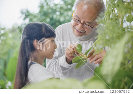 Asian young attractive girl and grandfather standing beside a green potted plant at home held, World Environment Day concept 123067952