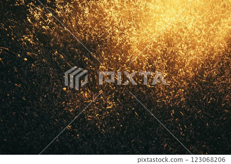 Gradient background glowing noise texture. 123068206