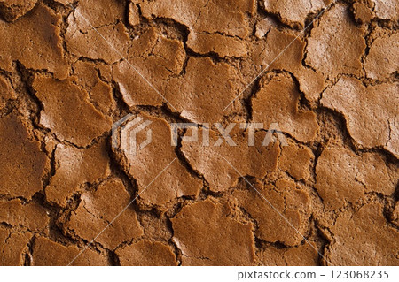 Brown gingerbread texture, background. 123068235