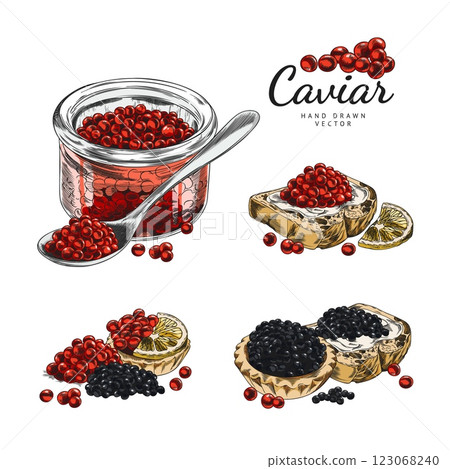 Set of contour watercolor illustrations of black and red caviar in jars, sandwiches and tartlets. 123068240