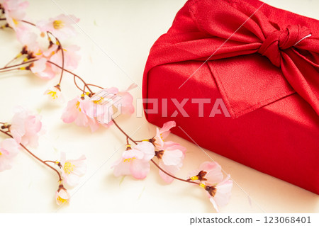 Weeping cherry blossoms and red furoshiki wrapping Weeping cherry blossoms and red furoshiki wrapping 123068401