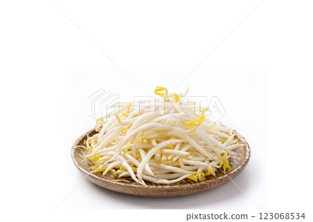 白色背景中的一堆豆芽 123068534