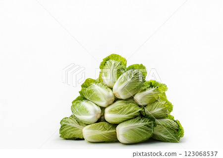 A pile of fresh Chinese cabbage on a white background 123068537