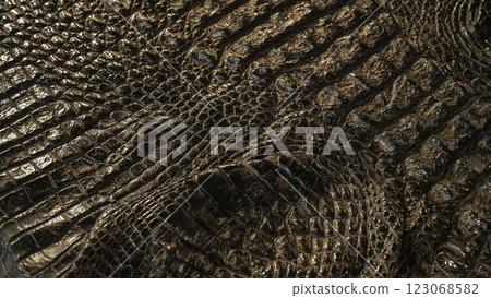 Texture of alligator black color skin. 123068582