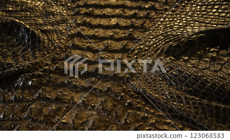 Texture of alligator black color skin. 123068583