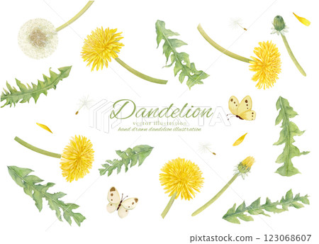 Watercolor hand drawn vector dandelion flower and fluff 123068607