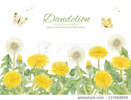 用水彩繪製的蒲公英花和絨毛的向量插圖框架 123068608
