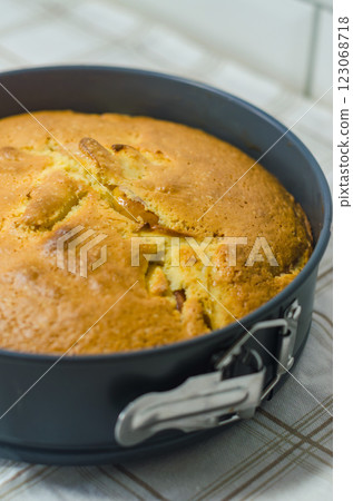 Freshly baked homemade cake in a springform pan on a kitchen countertop. High quality photo Freshly baked homemade cake in a springform pan on a kitchen countertop. High quality photo 123068718