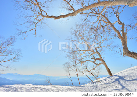 Winter scenery of Happo-one 123069044