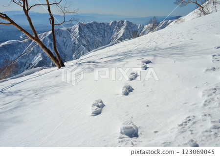 Footprints of Wind Footprints of Wind 123069045