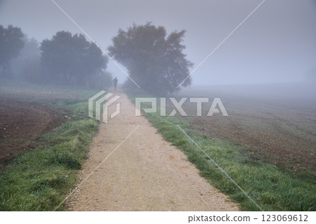 Solitary figure walking on foggy rural path 123069612