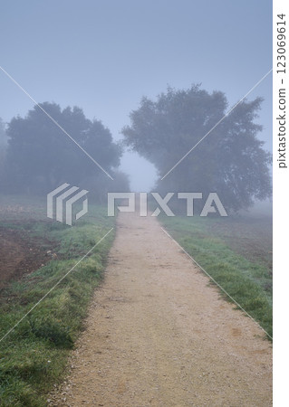 Misty pathway through the foggy countryside landscape 123069614