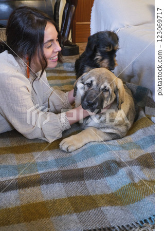 Woman lying on carpet cuddling spanish mastiff puppy and yorkshire terrier 123069717