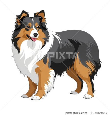 A cute sheltie with fluffy fur 123069867
