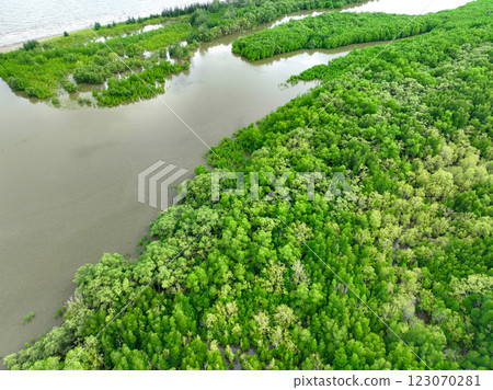Aerial view mangrove forest ecosystem. Economic value in carbon credit, ecosystem service, and climate resilience. Conservation effort long-term coastal community protection. Mangrove tree capture CO2 Aerial view mangrove forest ecosystem. Economic value in carbon credit, ecosystem service, and climate resilience. Conservation effort long-term coastal community protection. Mangrove tree capture CO2 123070281