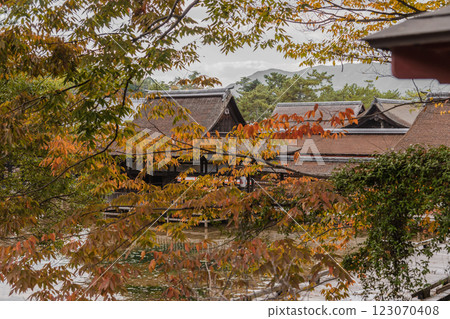[廣島宮島嚴島神社的秋葉] 123070408