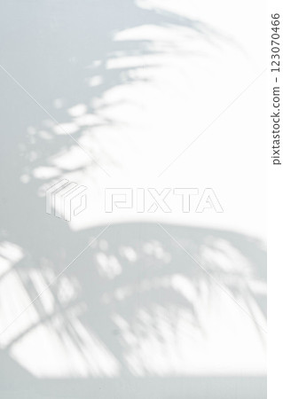 Delicate shadows cast by palm leaves create a calm atmosphere against a smooth, light-colored texture. This serene composition invites tranquility and reflection in a peaceful environment. 123070466