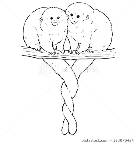 Cute Bolivian Greyhound illustration (line drawing) Cute Bolivian Greyhound illustration (line drawing) 123070484