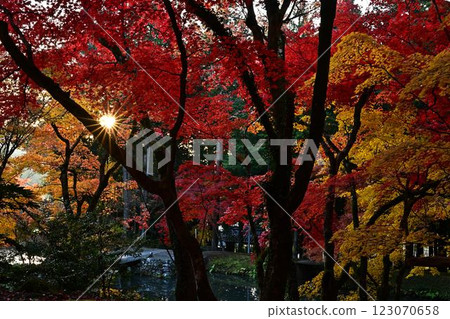 Dokoji Temple in Autumn 123070658