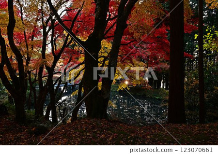 秋天的堂光寺 123070661